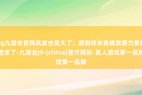 ag九游会官网风波也变大了；游到终末我嗅觉膂力豪阔透支了-九游会J9·(china)官方网站-真人游戏第一品牌