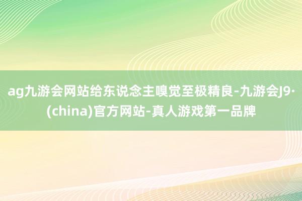 ag九游会网站给东说念主嗅觉至极精良-九游会J9·(china)官方网站-真人游戏第一品牌