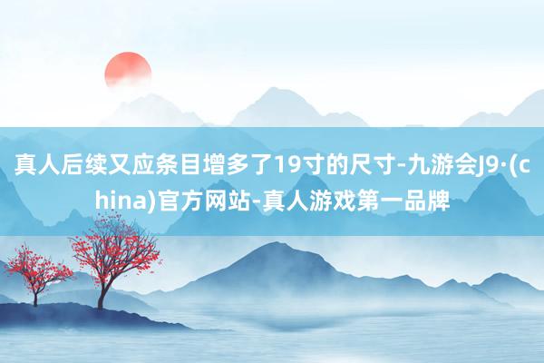 真人后续又应条目增多了19寸的尺寸-九游会J9·(china)官方网站-真人游戏第一品牌