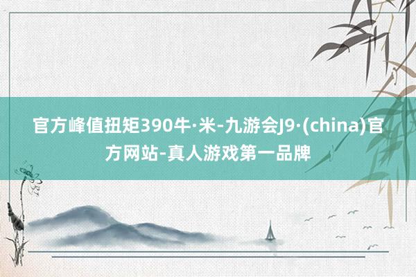 官方峰值扭矩390牛·米-九游会J9·(china)官方网站-真人游戏第一品牌