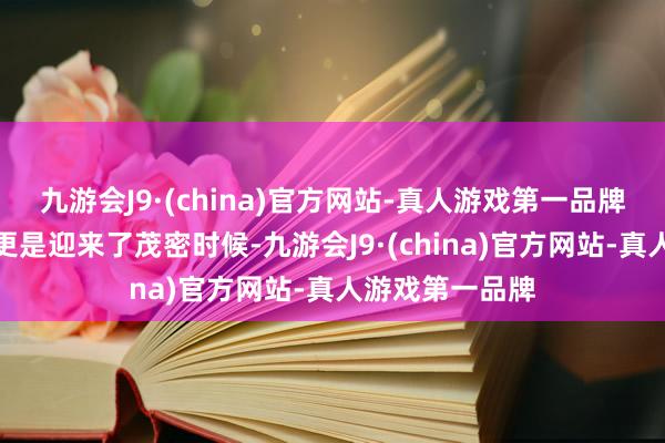 九游会J9·(china)官方网站-真人游戏第一品牌希腊的旅游业更是迎来了茂密时候-九游会J9·(china)官方网站-真人游戏第一品牌