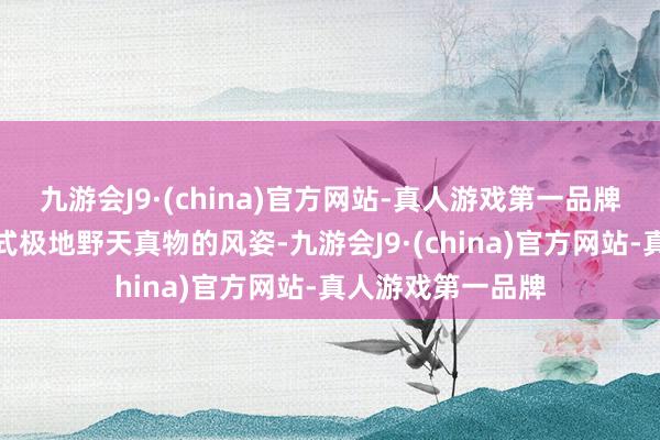 九游会J9·(china)官方网站-真人游戏第一品牌一睹北极熊及各式极地野天真物的风姿-九游会J9·(china)官方网站-真人游戏第一品牌