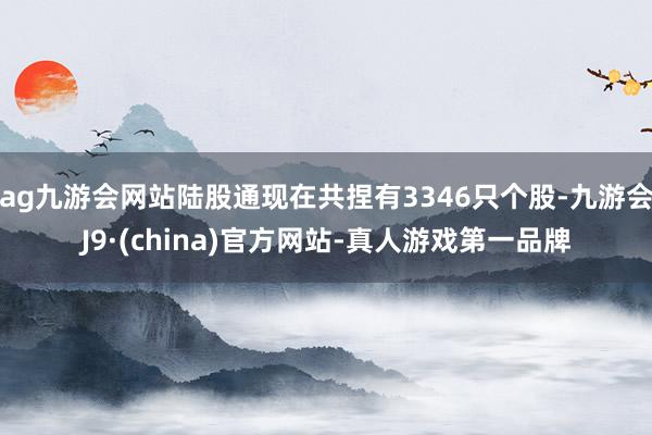 ag九游会网站陆股通现在共捏有3346只个股-九游会J9·(china)官方网站-真人游戏第一品牌