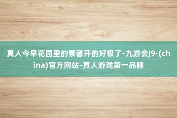 真人今早花园里的素馨开的好极了-九游会J9·(china)官方网站-真人游戏第一品牌