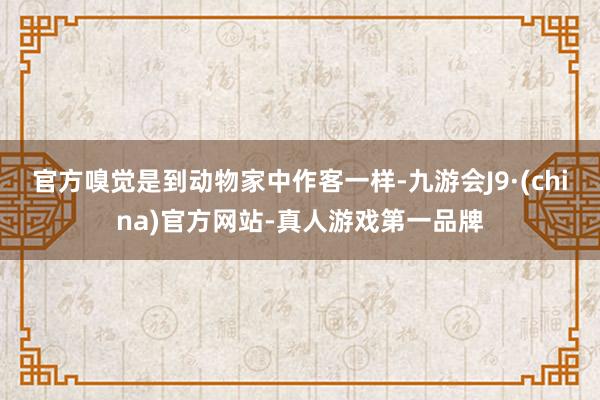 官方嗅觉是到动物家中作客一样-九游会J9·(china)官方网站-真人游戏第一品牌