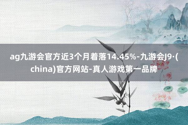 ag九游会官方近3个月着落14.45%-九游会J9·(china)官方网站-真人游戏第一品牌